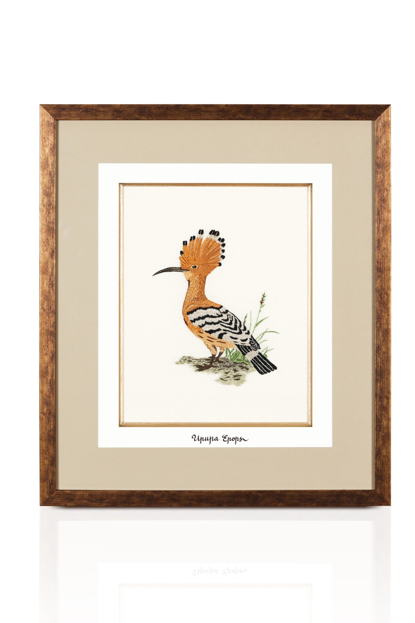 The Hoopoe